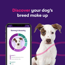 Load image into Gallery viewer, Geno Pet Dog Breed Identification DNA test
